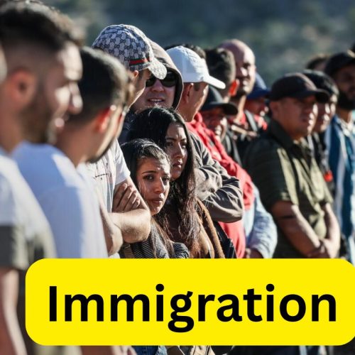 Immigration BD