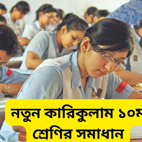 New Curriculum Class 10 Solution