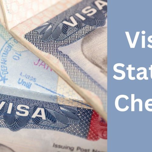 Visa Status Check​